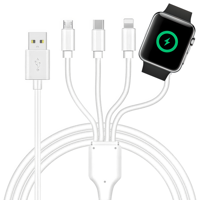 4-in-1 Multi-Charging Cable